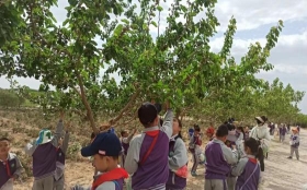 209dfa86ed918ffac4ed8f87370759e