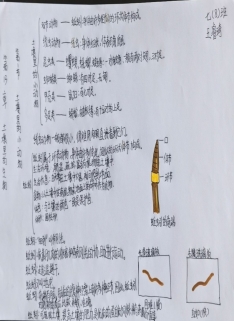 C:\Users\Administrator.WIN-B9CAG0EK0AK\Desktop\IMG_20230517_150118_edit_14019400793693.jpg