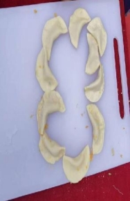 微信图片_20230529182248