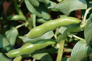 a582fd5766385b9738ccdd8a3e964c4