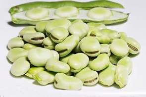 1813dc39f5e48cb8cb9d9cf7d3abf2e