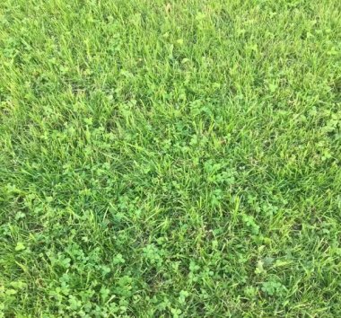 a38c35273c22dfd2ad301f591d60e5b