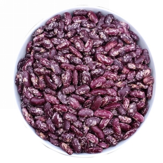 bfbd5bb6b2bb5028ae42dd24eb03c51