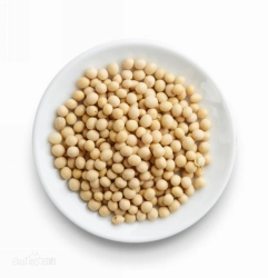 55f03a8aacd60f3a69c83be215270a8