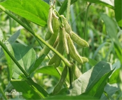 54bf9d29cf4de99231c8293c758a263