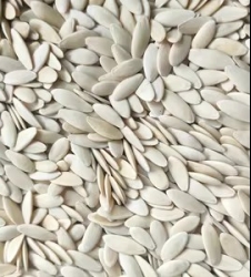 O1CN01RK4OE81zREK59wC8S_!!2740926710.jpg_300x300