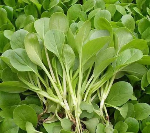 8a79986d2a0ad3c4b538648f4b22bff