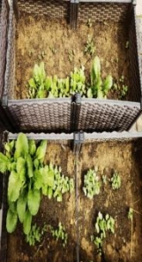 C:UsersADMINI~1AppDataLocalTempWeChat Files 187cad5cb4fc6830d54968d70b407a.jpg