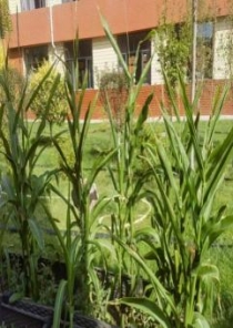 C:UsersADMINI~1AppDataLocalTempWeChat Filesa8eae4a4f60be22333f50359dd1cd5f.jpg