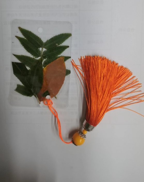 676b2748fc4303ea7280d1feab744a7