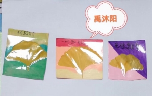 072f6c3a50418f5ff7ecc3ac509a5ed