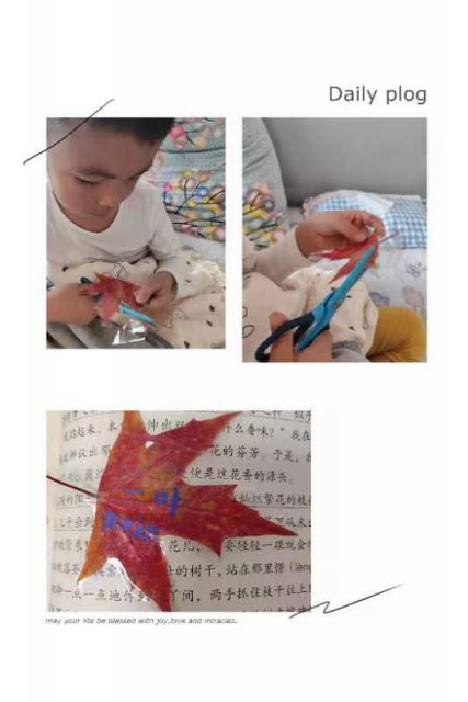 b7d6903efe29f8770dfd2328fb54cf7