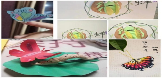 b843533f7bcc19c1a525d004b2d3a27