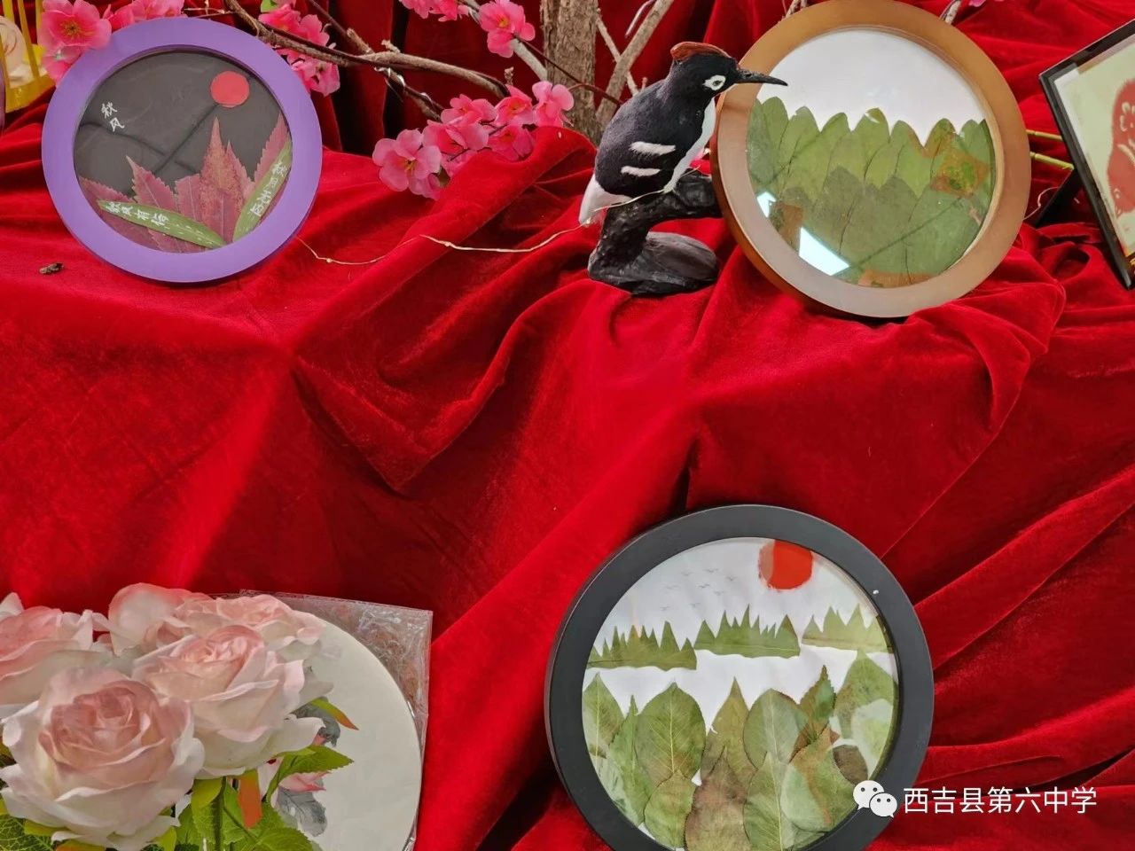 微信图片_20231227163903.jpg