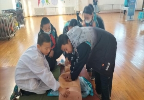 382f3a7c4c70f170c10836de6cc6210