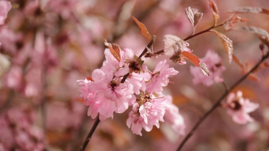 3ccd0fad8eb19b7c39ce4c866529d952