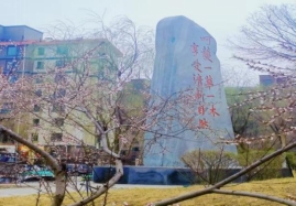 69315ccf42f3ff76b59991c329b39a7