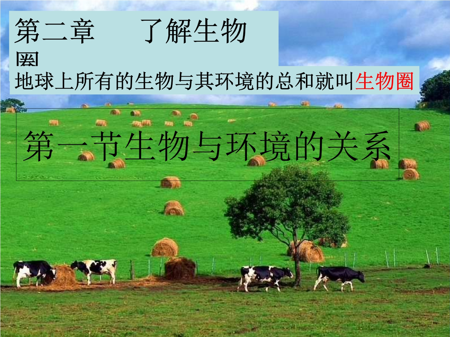 七上生物《生物与环境》(七年级生物生物与环境的关系ppt) 第2张 七上生物《生物与环境》(七年级生物生物与环境的关系ppt) 第2张