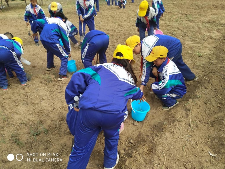 研习农耕 中卫市沙坡头区文昌镇郭营小学 宁夏教育资源公共服务