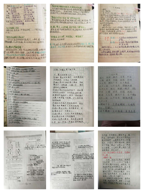 1583110094786371.jpg 10.jpg
