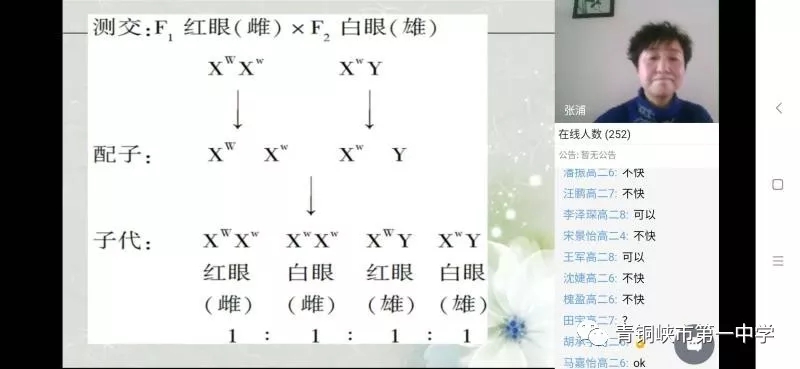 1583480456561879.jpg