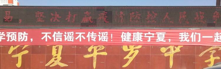 1585045436843534.jpg 1.jpg