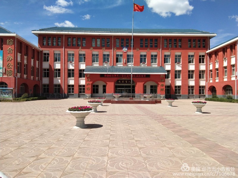 1591089954725370.jpg 1.jpg