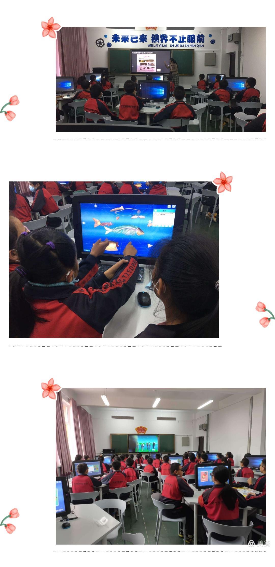 1603097680283656.jpg 8.jpg