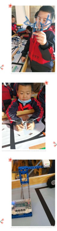 1603097733689583.jpg 10.jpg