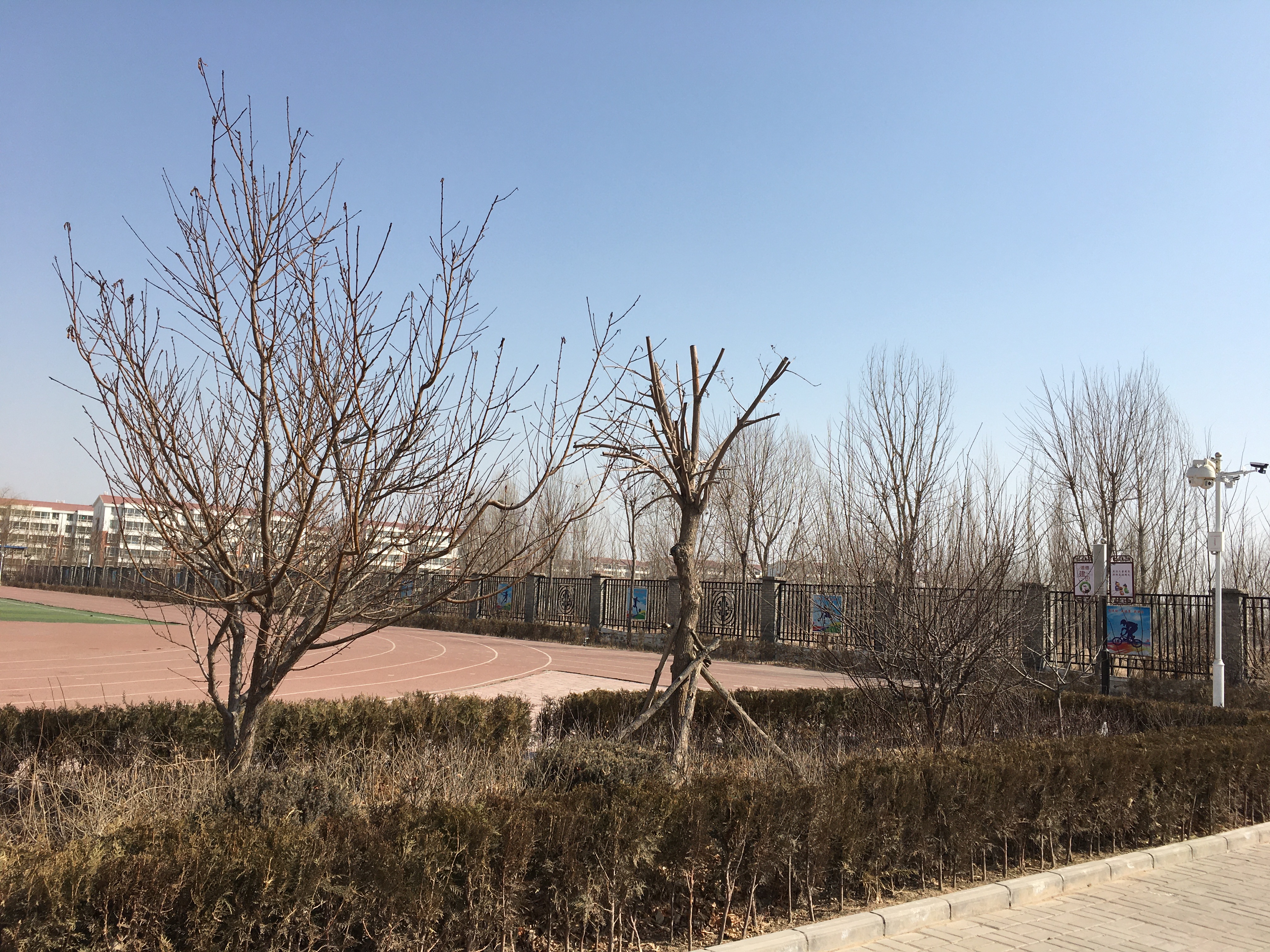 校园美景 - 银川市西夏区兴泾镇中石油希望小学 - 贺兰教育资源公共