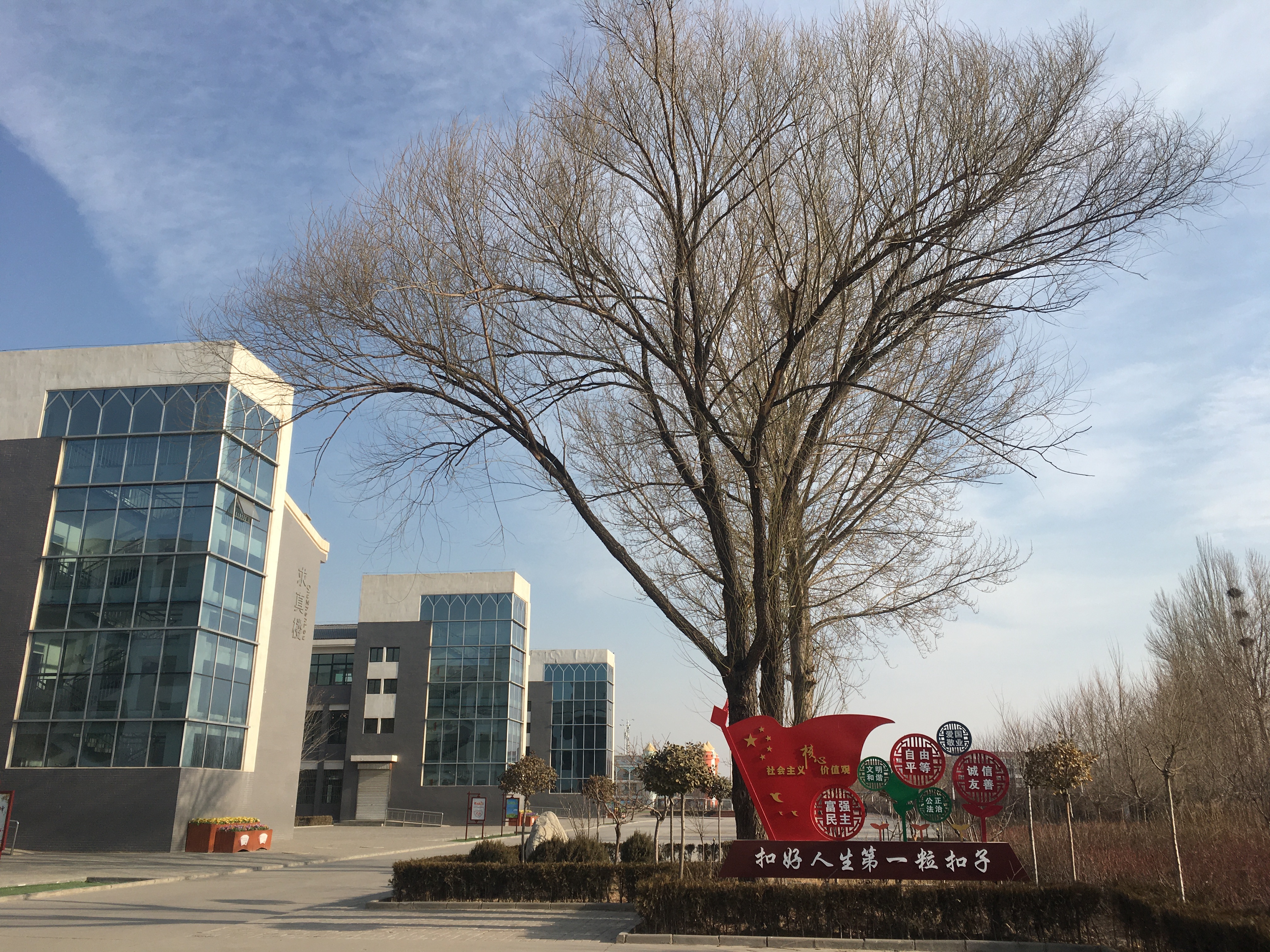 校园美景 - 银川市西夏区兴泾镇中石油希望小学 - 宁夏教育资源公共