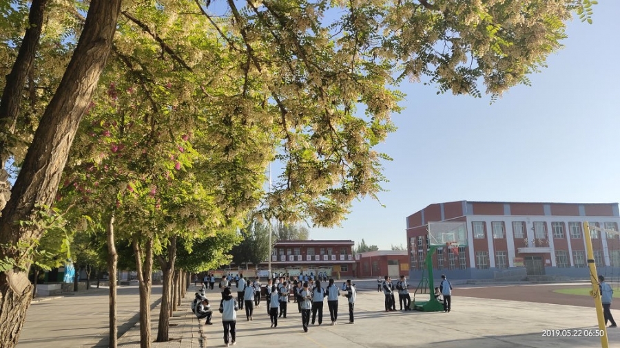 校园风采 - 海原县七营中学 - 宁夏教育资源公共服务平台