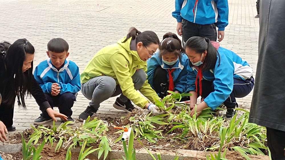 1618552567429781.png 1618552567429781.png