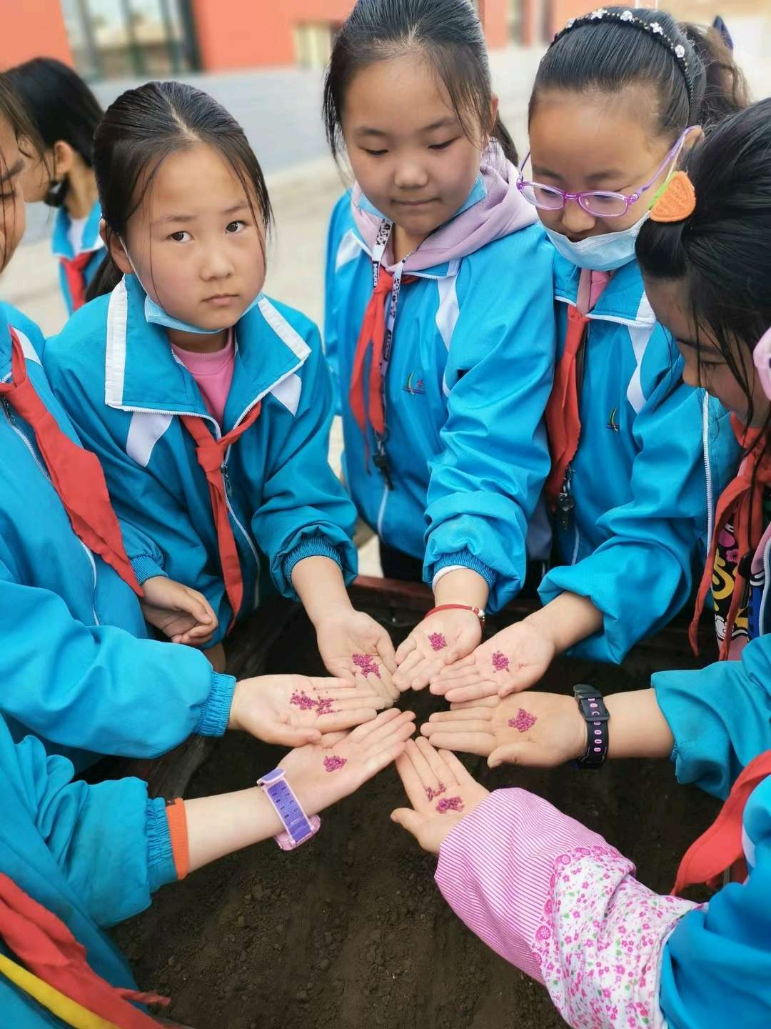 1618552692519604.png 1618552692519604.png