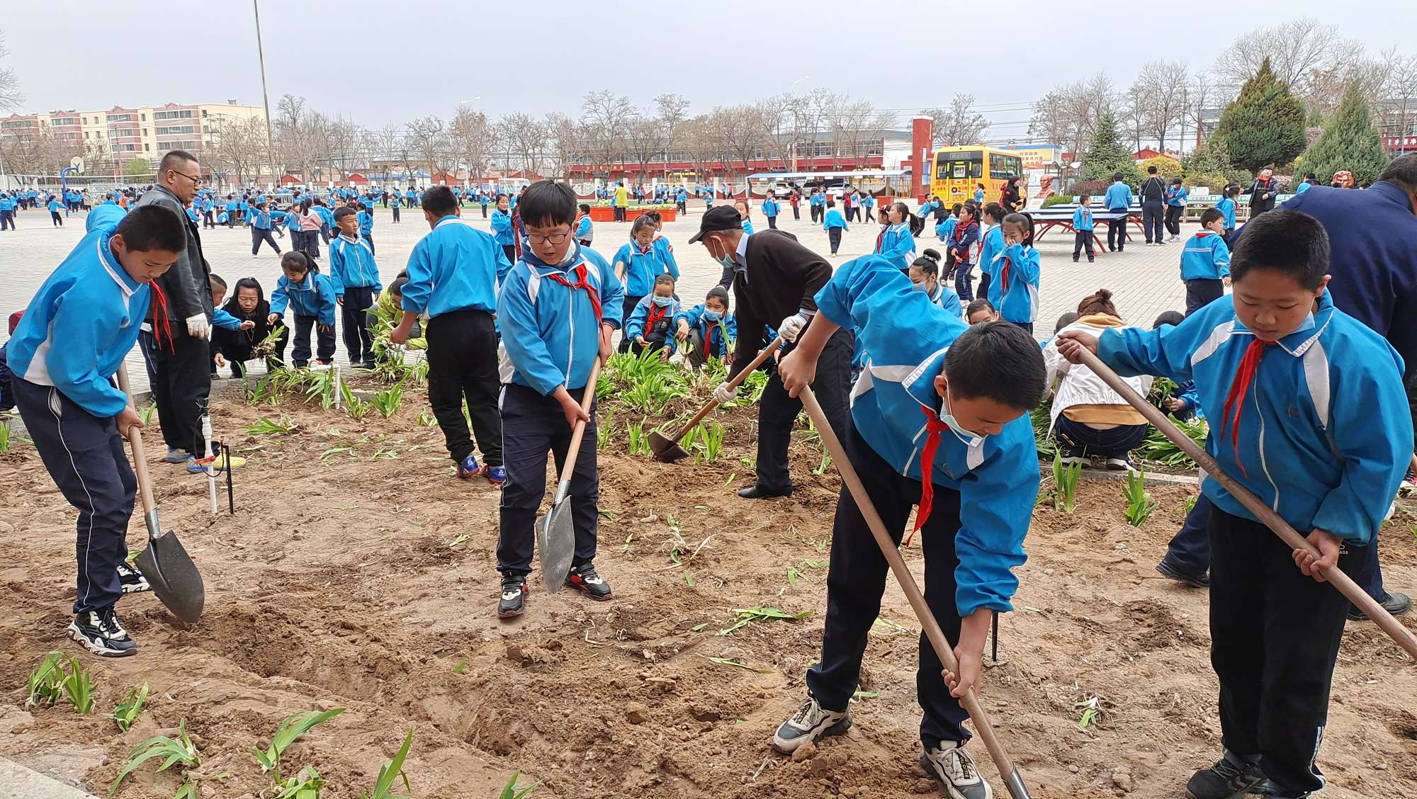 1618552696677003.png 1618552696677003.png