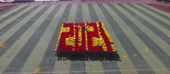 1618800486423141.jpg