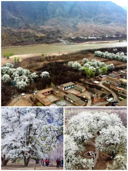 1625668519679069.jpg 微信图片_20210707223158.jpg