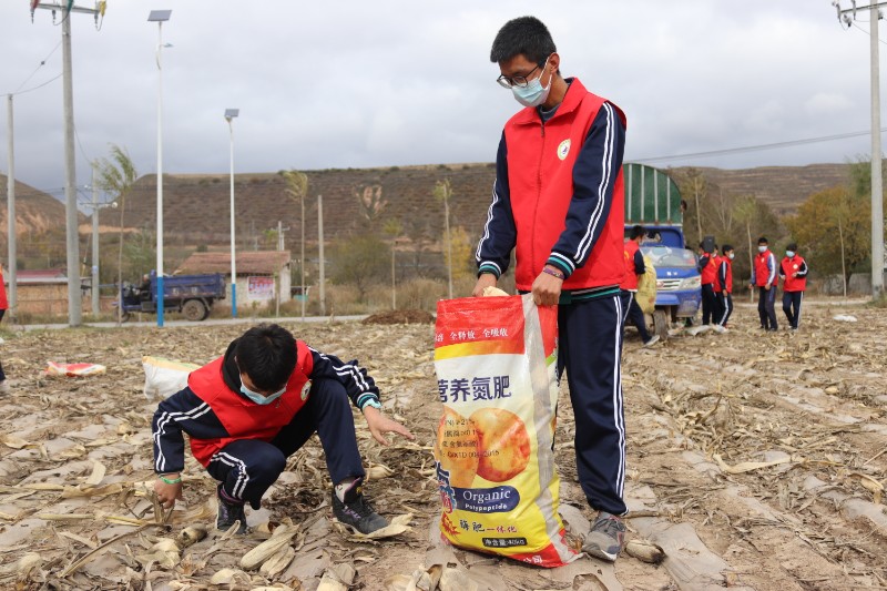 1636079252754230.jpg 劳动1.jpg