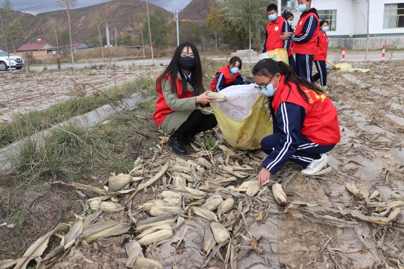 1636079303886703.jpg 劳动3.jpg