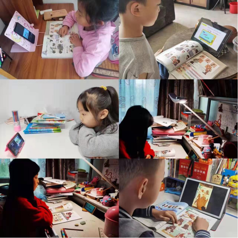 1636085019263888.png image.png