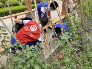 1639442742168408.jpg 1639442742(1).jpg