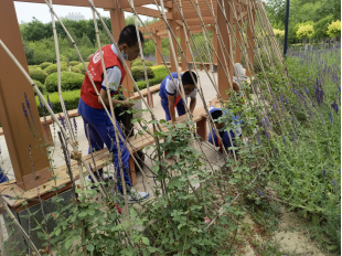 1639442804596019.jpg 1639442764(1).jpg