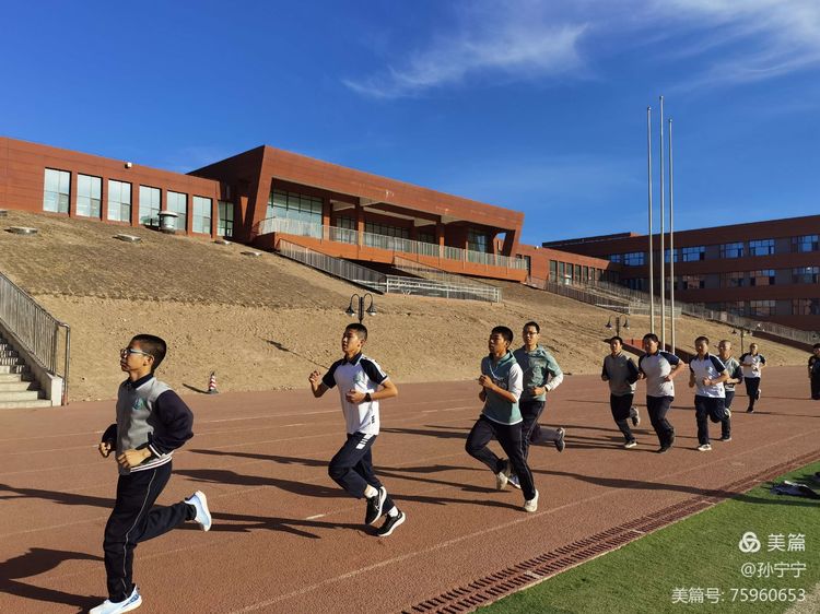 1647478975530750.jpg 9.jpg