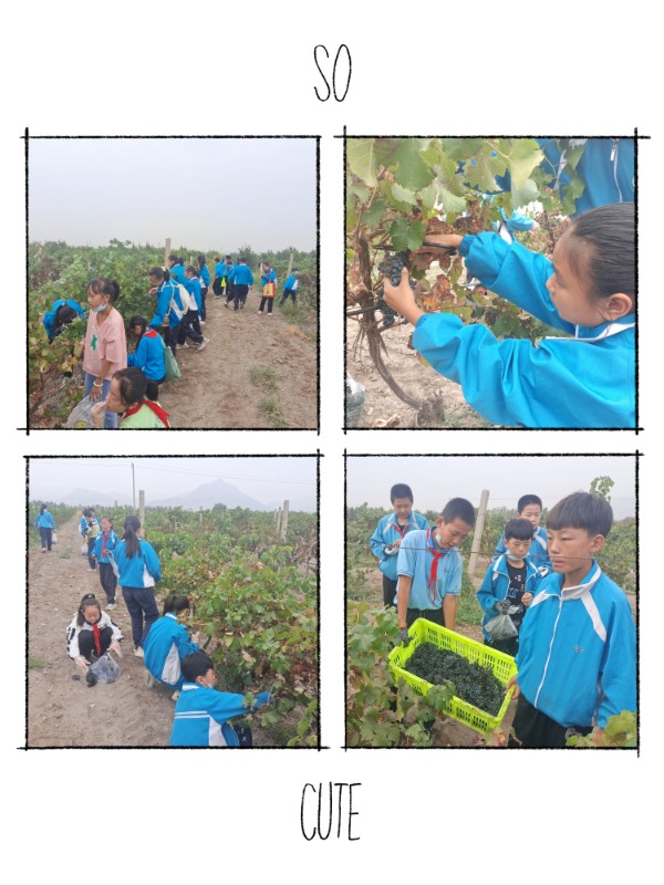 1664156960917261.jpg 23.jpg