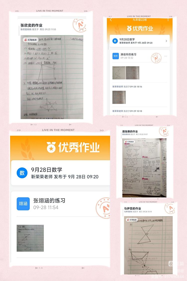 1664424338904916.jpg 5.jpg