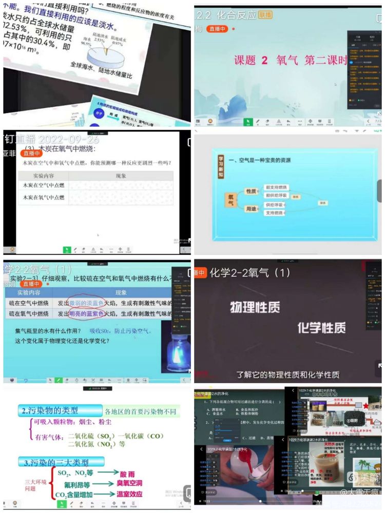 1664507306826769.jpg 4.jpg