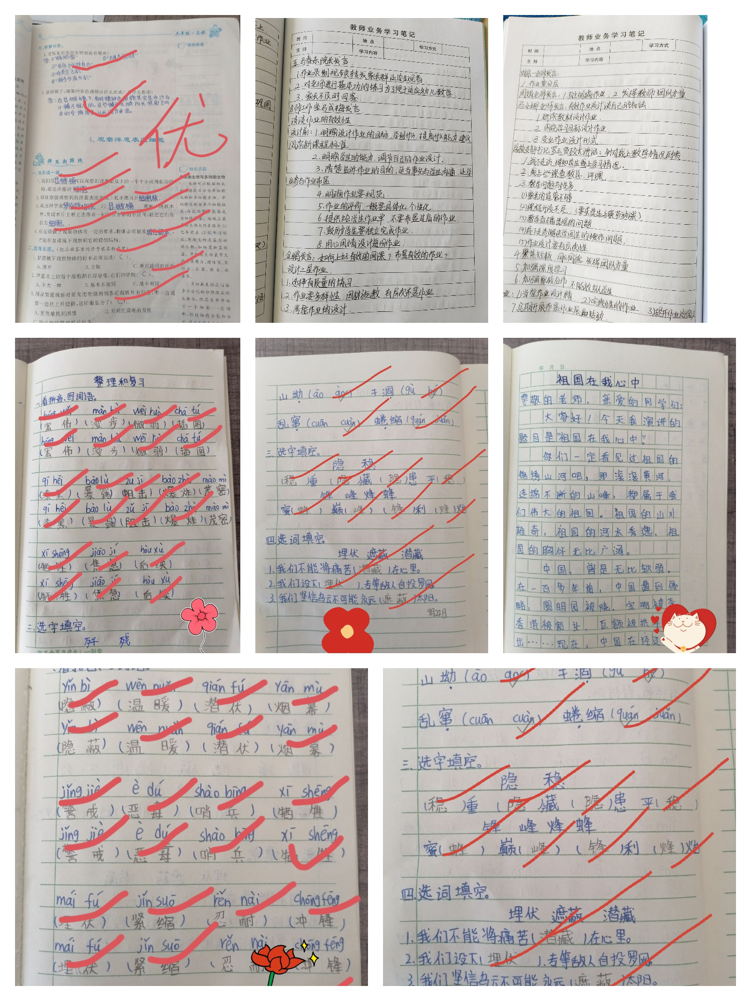 图片5.png