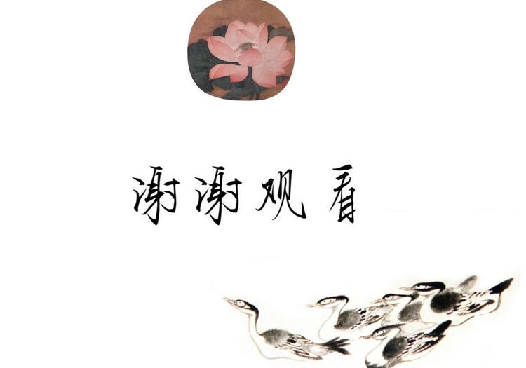 1667192852846587.jpg 17.jpg