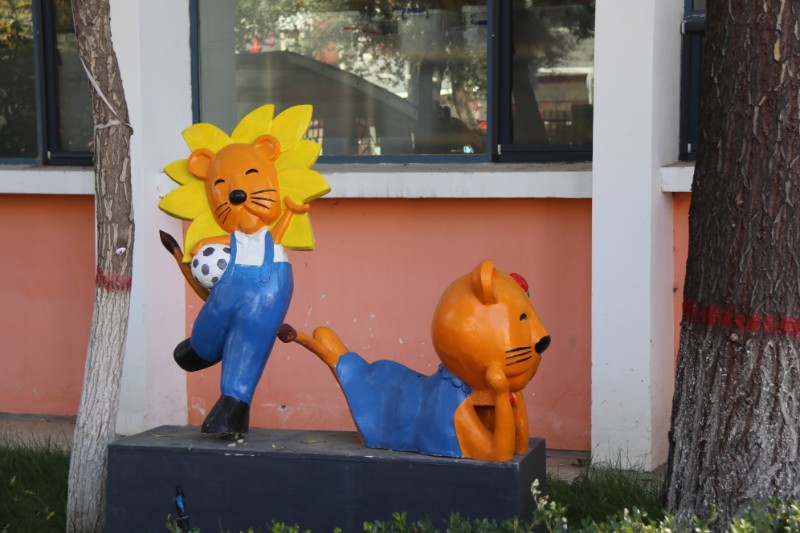 1668397555846572.jpg IMG_3338.JPG