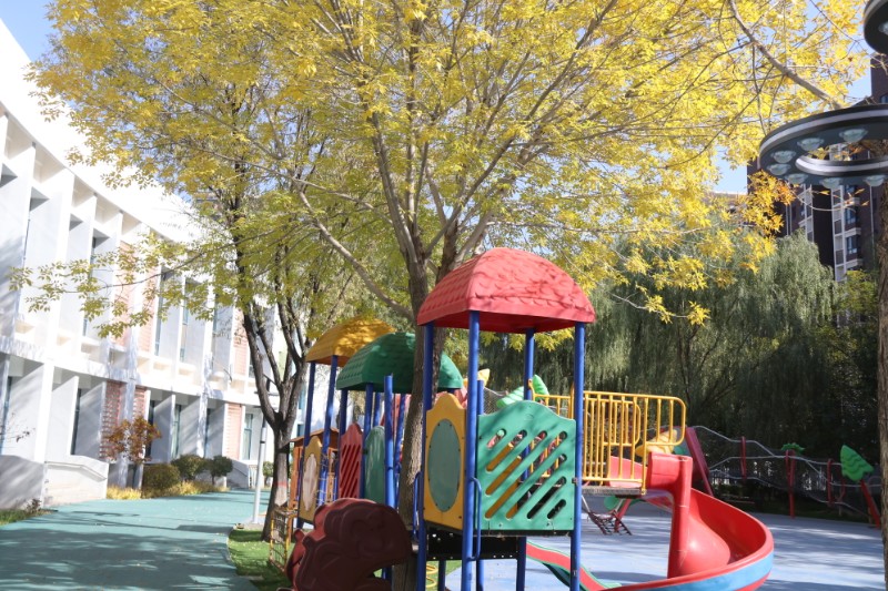 1668397647900571.jpg IMG_3377.JPG